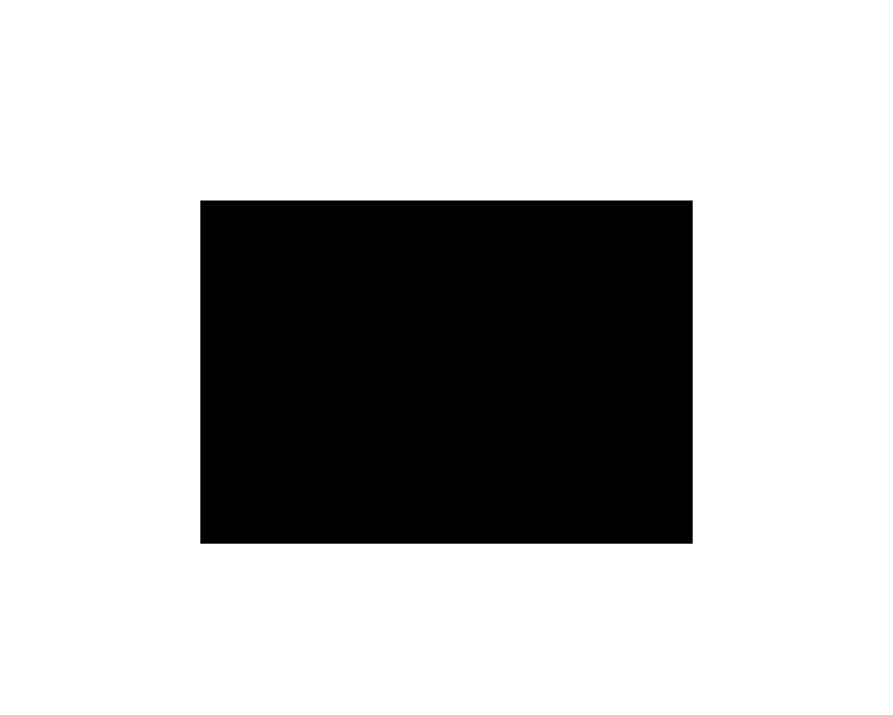 Flyer 4